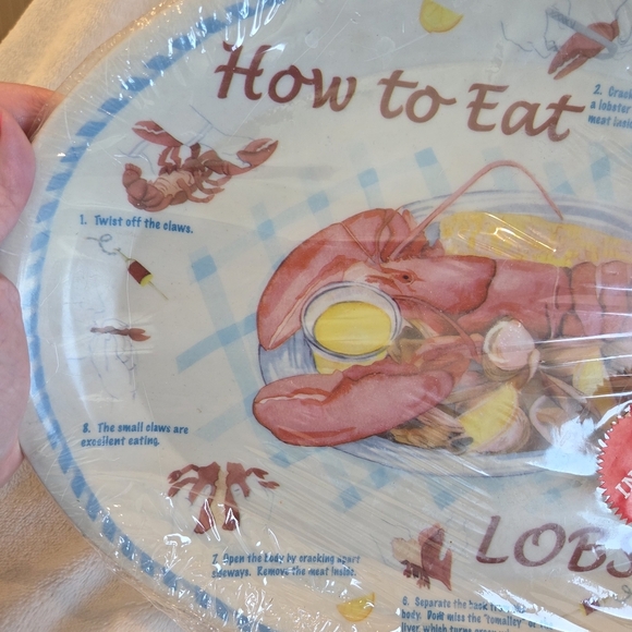 Vintage Set of 4 How to Eat Lobster Oval 13"x10" Plastic Plate/ Maine/Rustic - Picture 3 of 11